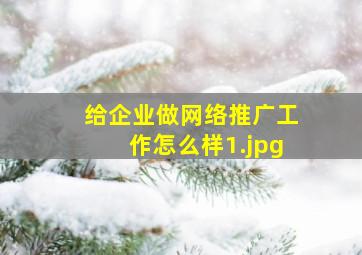 给企业做网络推广工作怎么样
