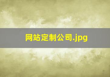 网站定制公司