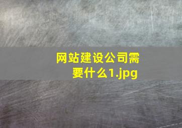 网站建设公司需要什么