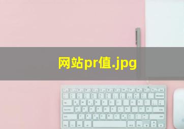 网站pr值