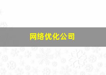 网络优化公司