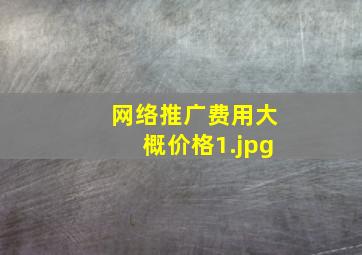 网络推广费用大概价格