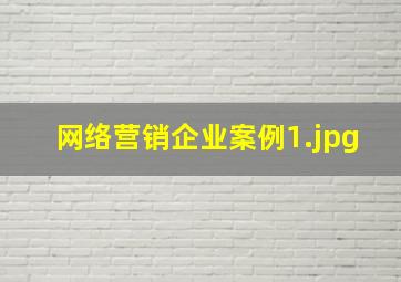 网络营销企业案例