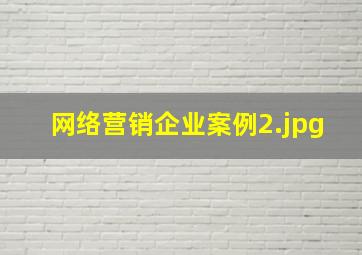 网络营销企业案例