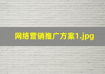 网络营销推广方案