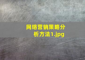 网络营销策略分析方法