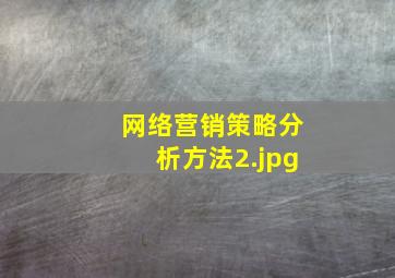 网络营销策略分析方法