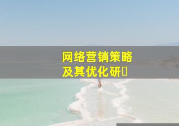 网络营销策略及其优化研�