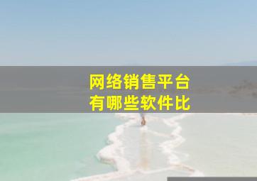 网络销售平台有哪些软件比