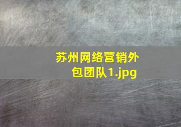 苏州网络营销外包团队
