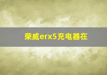 荣威erx5充电器在