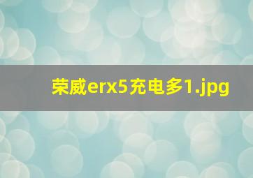 荣威erx5充电多