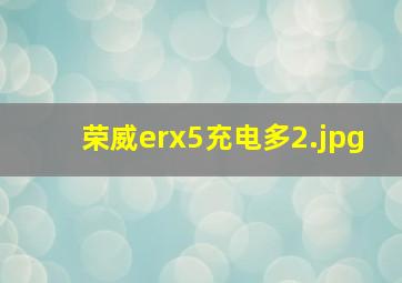 荣威erx5充电多