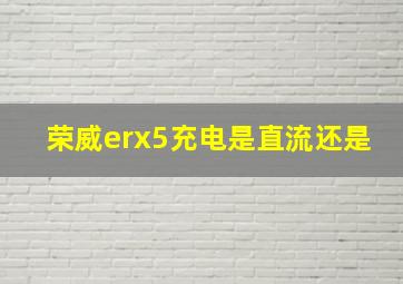 荣威erx5充电是直流还是