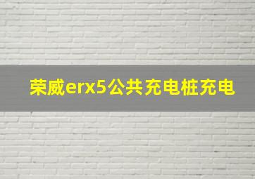 荣威erx5公共充电桩充电