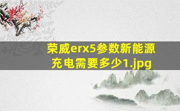 荣威erx5参数新能源充电需要多少