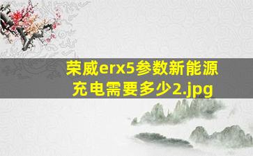 荣威erx5参数新能源充电需要多少