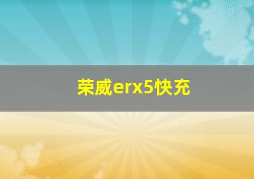 荣威erx5快充