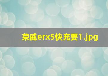 荣威erx5快充要