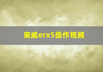 荣威erx5操作视频