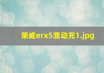 荣威erx5混动充