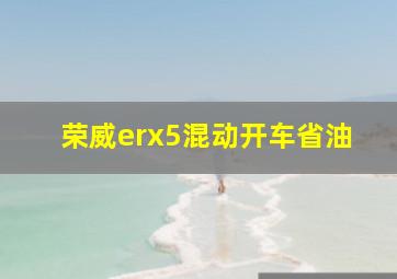 荣威erx5混动开车省油