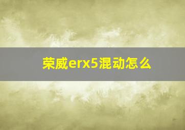 荣威erx5混动怎么