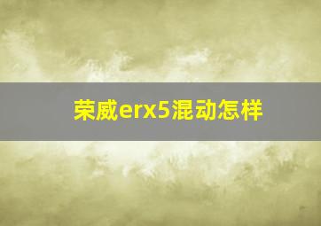 荣威erx5混动怎样