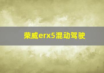 荣威erx5混动驾驶