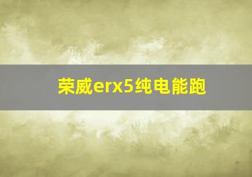 荣威erx5纯电能跑