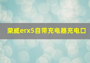 荣威erx5自带充电器充电口