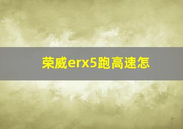 荣威erx5跑高速怎