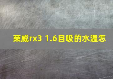 荣威rx3 1.6自吸的水温怎