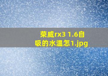 荣威rx3 1.6自吸的水温怎