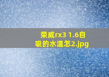 荣威rx3 1.6自吸的水温怎