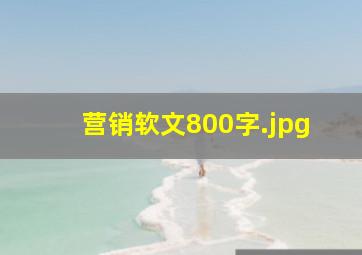 营销软文800字