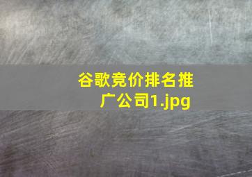 谷歌竞价排名推广公司