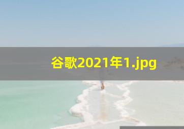 谷歌2021年