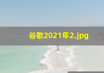 谷歌2021年