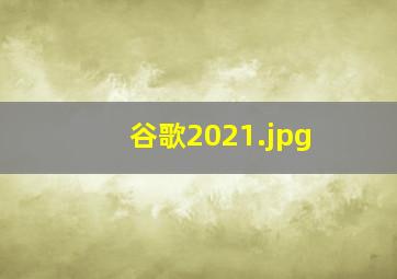 谷歌2021