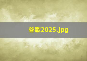 谷歌2025
