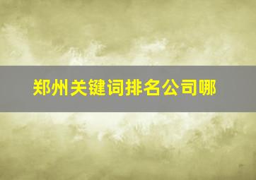 郑州关键词排名公司哪
