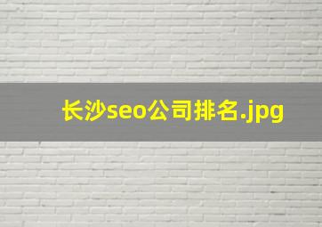 长沙seo公司排名