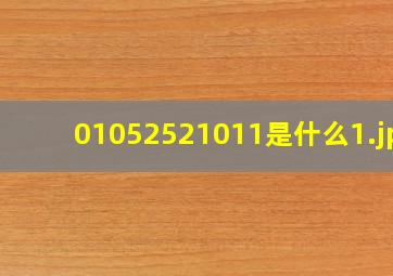 01052521011是什么