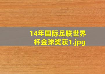 14年国际足联世界杯金球奖获