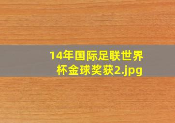 14年国际足联世界杯金球奖获
