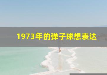 1973年的弹子球想表达
