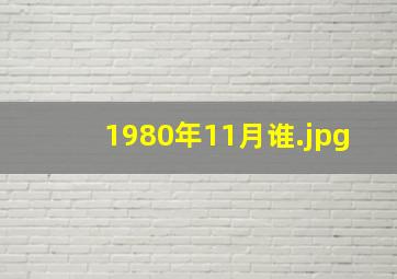 1980年11月谁