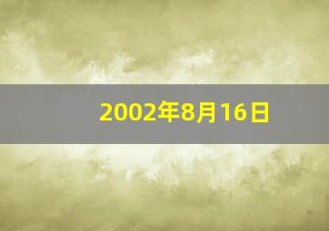 2002年8月16日