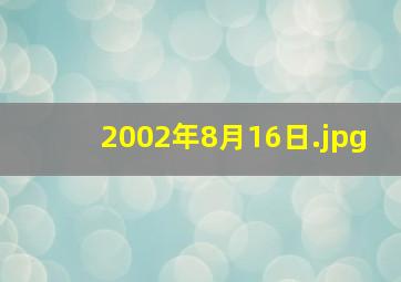 2002年8月16日